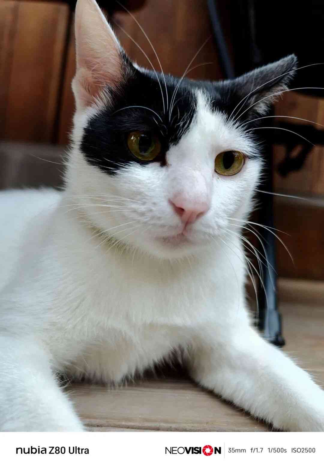 努比亚手机怎么样？用了几天努比亚新手机，我觉得这回真能买了