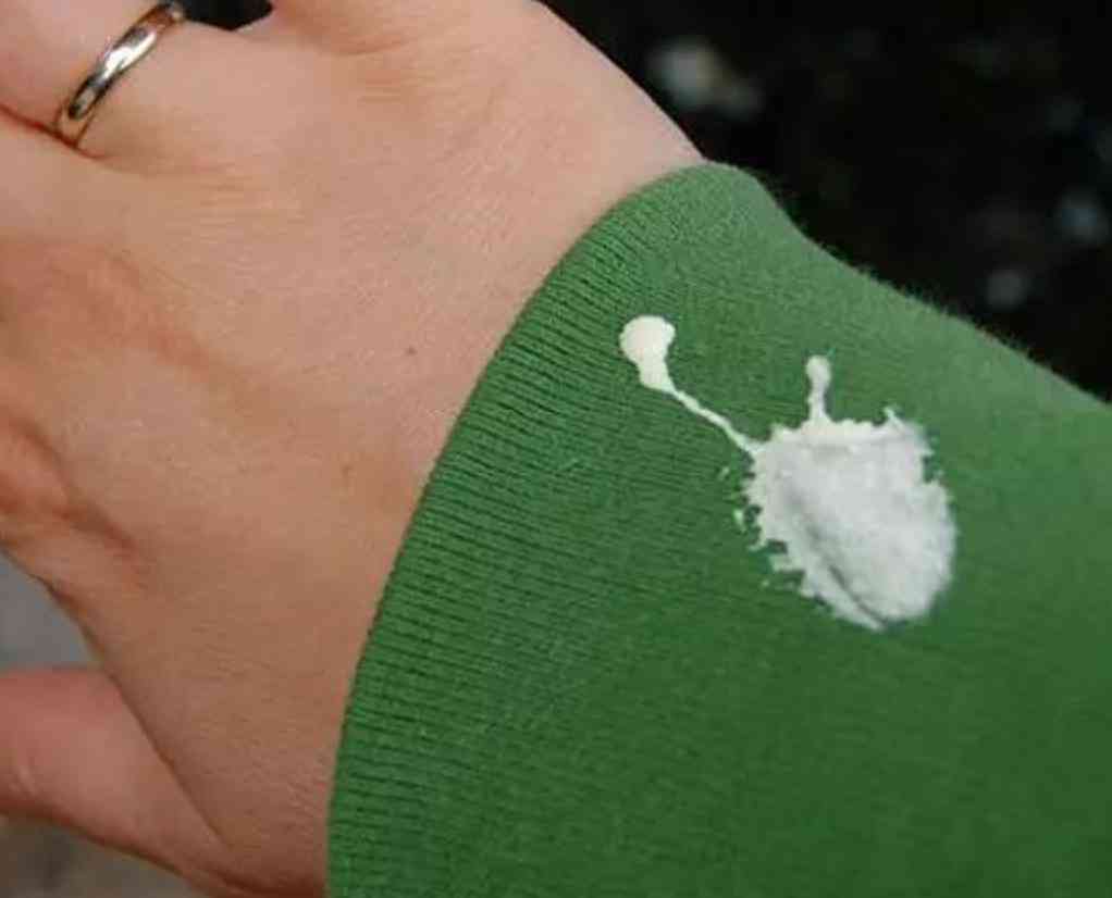 索尼w610怎么样 喂过一次大连海鸥，人类就要为自己的弱小羞愧