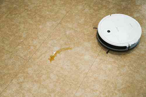 科沃斯扫地机器人怎么样 省心省力 幸福家庭必备的扫地机器人科沃斯DJ35 深度评测