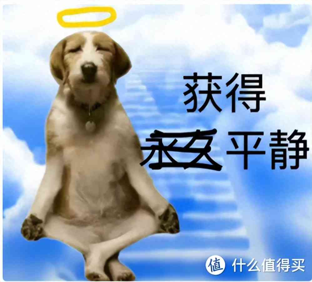 amd显卡怎么样 为什么 AMD 显卡公认性价比更高，但为啥却是叫好不叫座？