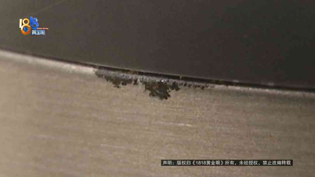 苏泊尔电饭煲质量调查：高价产品使用体验与问题分析