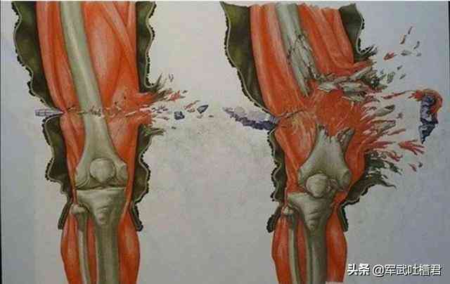 AK47与56式半自动步枪:经典武器的深度解析 AK47与56式半自动步枪:经典武器的深度解析
