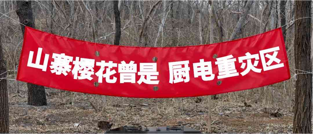 好太太油烟机质量评估与山寨厨电品牌市场洞察