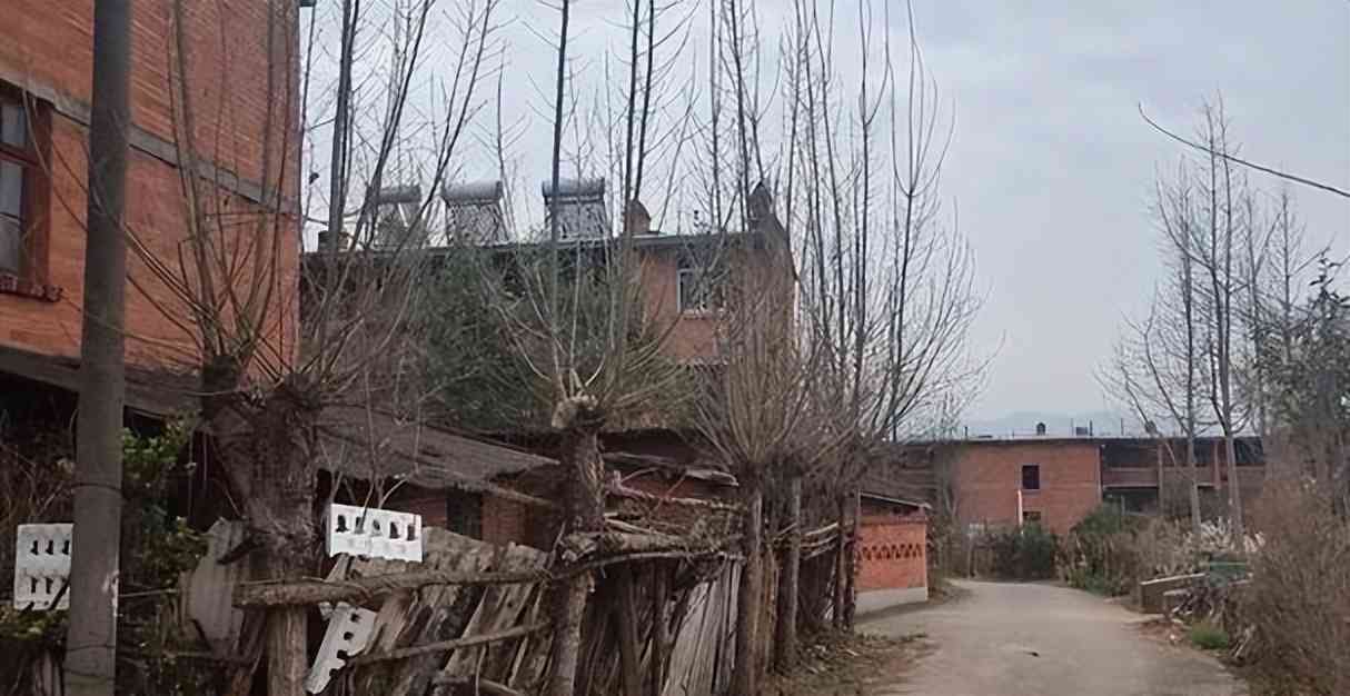 夏普厂怎么样 夏普厂怎么样