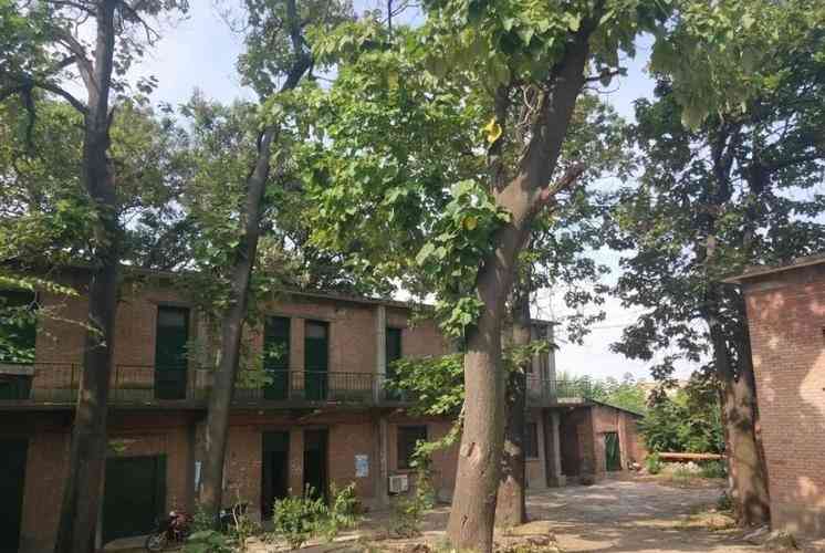 夏普厂怎么样 夏普厂怎么样