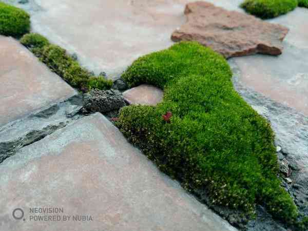 努比亚z17怎么样 努比亚Z17畅享版评测 无边框亦无短板? 努比亚z17怎么样 努比亚Z17畅享版评测 无边框亦无短板?