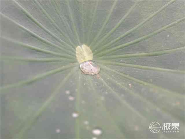 荣耀8手机怎么样 荣耀8手机怎么样