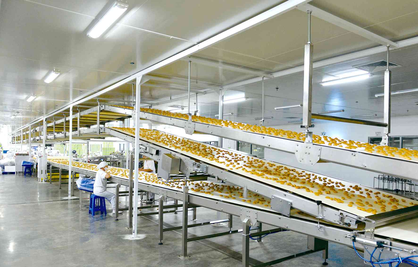 思朗饼干怎么样 莞味智造|东莞思朗:健康类饼干的N种可能,引领行业潮流 思朗饼干怎么样 莞味智造|东莞思朗:健康类饼干的N种可能,引领行业潮流