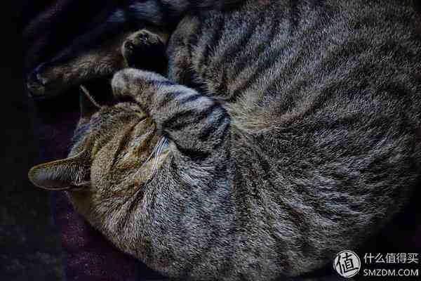 索尼RX100怎么样?也谈谈自己使用的SONY索尼DSC-RX100黑卡数码相机 索尼RX100怎么样?也谈谈自己使用的SONY索尼DSC-RX100黑卡数码相机